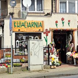 Kwiaciarnia U Patrycji (Kołaczyce )