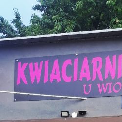 Kwiaciarnia U Wioli. Kwiaciarnia Gdańsk Chełm (Gdańsk )