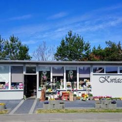 Kwiaciarnia Usługi Pogrzebowe Jan Turoń (Domaradz )