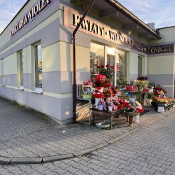 Kwiaciarnia Violet - Głogów (Głogów )
