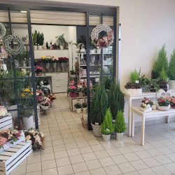 Kwiaciarnia W Intermarche Toruń / Kwiatomat (Toruń )