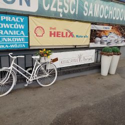 Kwiaciarnia W Piwnicy (Gostyń )