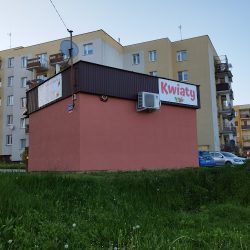 Kwiaciarnia W Te Pędy (Starachowice en Merlo San Luis)