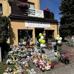 Kwiaciarnia W Te PĘdy (Pawłowice )