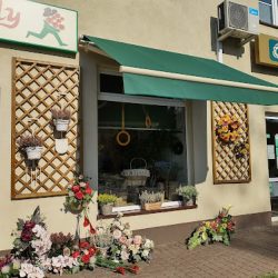 Kwiaciarnia W Te Pędy (Kaski )