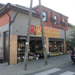 Kwiaciarnia Wasiakowie (Kutno )