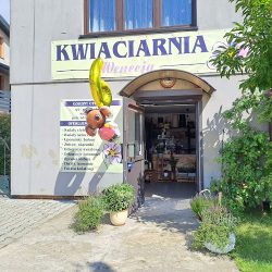 Kwiaciarnia Wenecja (Dłutów )