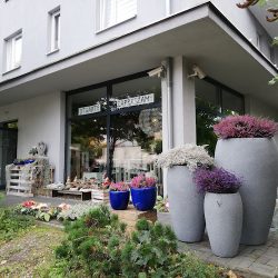 Kwiaciarnia Weronika Kwiatek-binda (Krapkowice en Merlo San Luis)