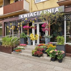 Kwiaciarnia White (Włocławek )