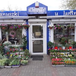 Kwiaciarnia Wianuszki U Janiny (Rumia )