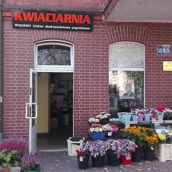 Kwiaciarnia Wiązanki: ślubne, Okolicznościowe I Pogrzebowe (Wejherowo )