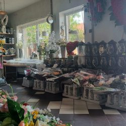 Kwiaciarnia Wielichnowska (Krośniewice )