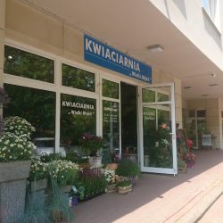 Kwiaciarnia Wielki Błękit Pruszków (Pruszków )