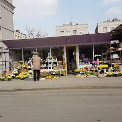 Kwiaciarnia Wieńce Bukiety Okolicznościowe Kwiaty Cięte (Chorzów )