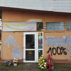Kwiaciarnia. Wieńce, Choinki Sztuczne (- )