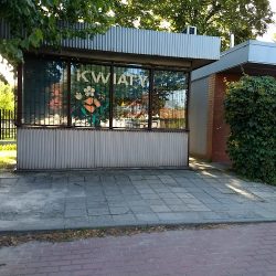 Kwiaciarnia Witaszyce (Witaszyce en Merlo San Luis)