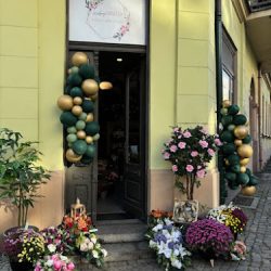 Kwiaciarnia Wolny Kwiatek (Wrocław )