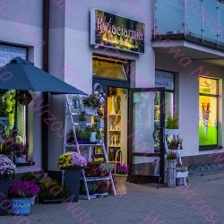 Kwiaciarnia Wrzosowa Nuta, Kwiaty (Mińsk Mazowiecki )