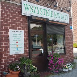 Kwiaciarnia Wszystkie Kwiaty (Ruda Śląska )