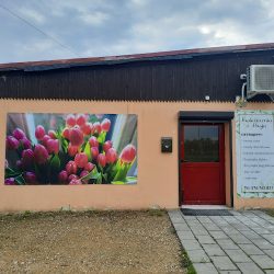 Kwiaciarnia Z Pasją. (Rybnik )