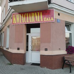 Kwiaciarnia Żala (Radomyśl Wielki )