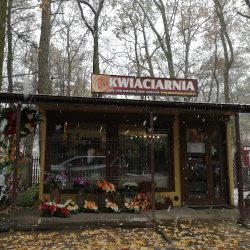 Kwiaciarnia Zalesie Górne (Zalesie Górne )