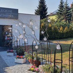 Kwiaciarnia Zaplecione (Wrocław )