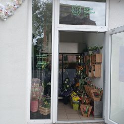 Kwiaciarnia Zieleń Miejska Bydgoszcz (Bydgoszcz )