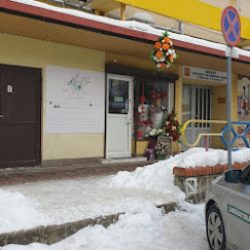Kwiaciarnia Zielona (Białystok )