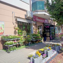 Kwiaciarnia