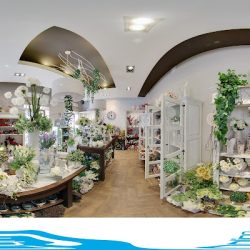Kwiaciarnia Zielona Galeria (Radom )