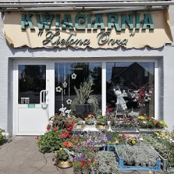 Kwiaciarnia Zielona Oaza (Opole )