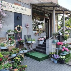 Kwiaciarnia Zielona Oliwka (Katowice )