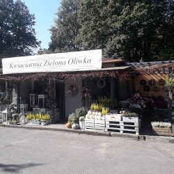 Kwiaciarnia Zielona Oliwka Marzena Bachór (Bielsko-Biała )