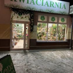 Kwiaciarnia Zielona Wioletta Brzozowska (Ostrołęka )