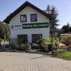 Kwiaciarnia Zielone Inspiracje (Gorlice )