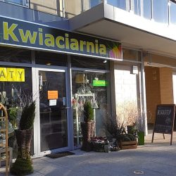 Kwiaciarnia Zielone Patio (Wrocław )