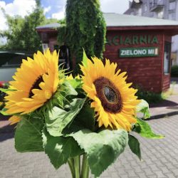 Kwiaciarnia