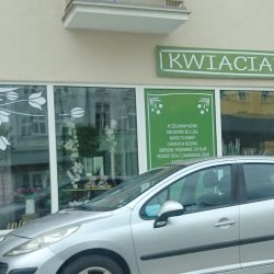 Kwiaciarnia Zielony Kącik (Nysa en Merlo San Luis)