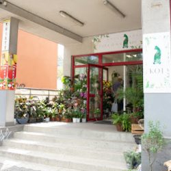 Kwiaciarnia Zielony Kot (Wrocław )