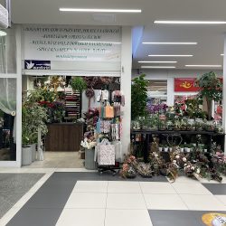 Kwiaciarnia Zielony Zakątek (Poznań )
