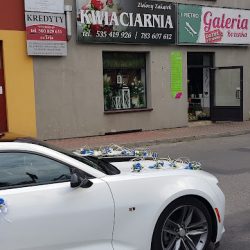Kwiaciarnia Zielony Zakątek (Brzesko )