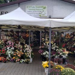 Kwiaciarnia Zielony Zakątek (Lublin )