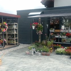 Kwiaciarnia Zielony Zakątek Kleszczewo (Kleszczewo en Merlo San Luis)