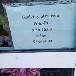 Kwiaciarnia Zielony Zakątek 