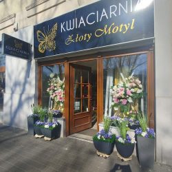 Kwiaciarnia Złoty Motyl (Kalisz en Merlo San Luis)