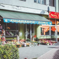 Kwiaciarnia Żonkil (Zielona Góra )