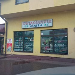 Kwiaciarnia Zosia (Kazimierza Wielka en Merlo San Luis)