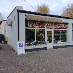 Kwiaciarnia97 Anna Chaja (Oborniki Śląskie )