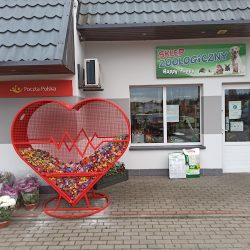 Kwiaciarnie Wrzos Zamość - Wysyłka Kwiatów. Bukiety Ślubne, Wieńce Pogrzebowe. Upominki. Dekoracje Kwiatowe. (Zamość )